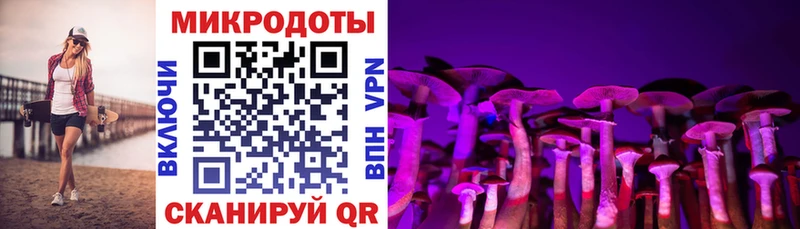 Псилоцибиновые грибы ЛСД Санкт-Петербург