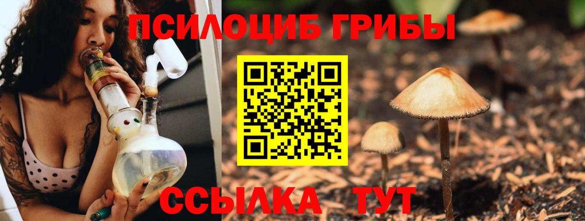 Псилоцибиновые грибы Cubensis  Вход с VPN  Россия 